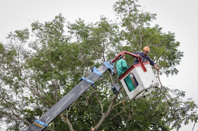 Hơn 4.100 dân ven biển Sài Gòn sơ tán tránh bão Usagi ảnh 12