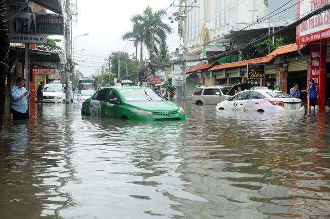 Bão số 9: TP Hồ Chí Minh ngừng toàn bộ hoạt động giáo dục vào chiều, tối 26/11 ảnh 1