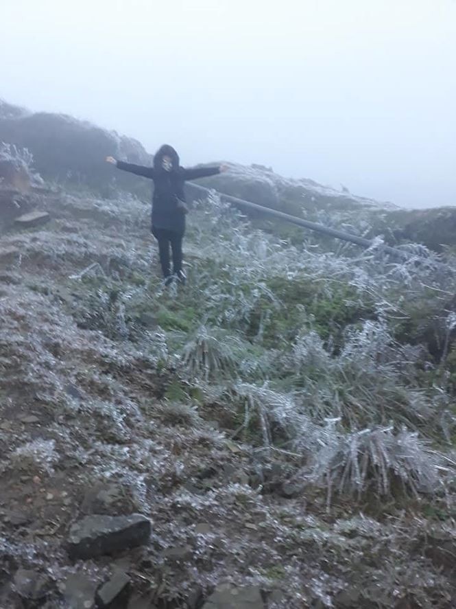 Băng tuyết xuất hiện phủ trắng Mẫu Sơn ảnh 1