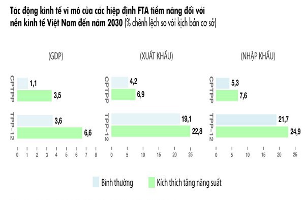 Việt Nam chính thức bước vào kỷ nguyên CPTPP ảnh 2