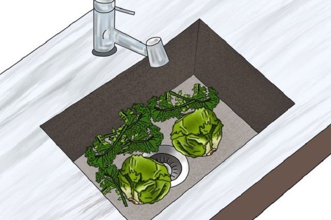 Bảo quản đúng cách đồ ăn trong tủ lạnh ảnh 4