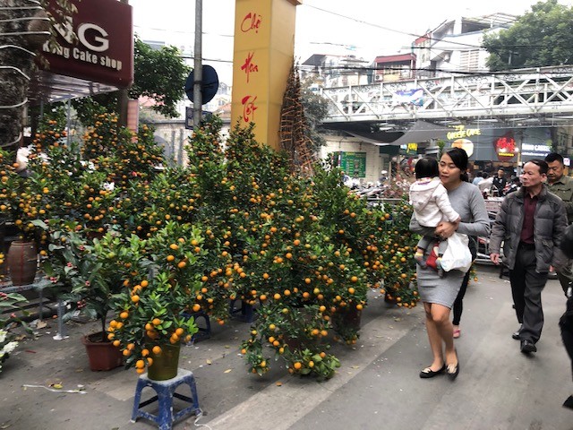 Người Hà Nội chen chân trên phố Hàng Mã, hàng Lược sắm Tết ảnh 11