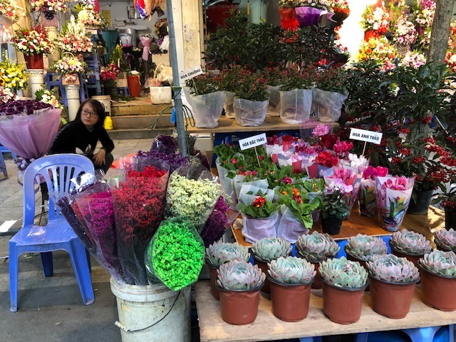 Người Hà Nội chen chân trên phố Hàng Mã, hàng Lược sắm Tết ảnh 10