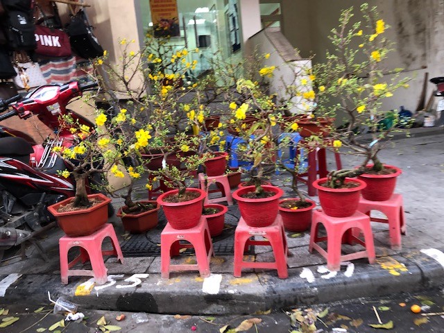 Người Hà Nội chen chân trên phố Hàng Mã, hàng Lược sắm Tết ảnh 9