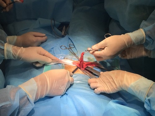 Ba tháng hoạt động của bệnh viện dã chiến Việt Nam tại Nam Sudan ảnh 2