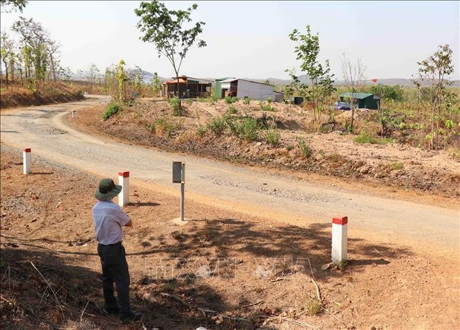 Hàng chục hécta rừng ở Đắk Lắk bị chặt phá, sang nhượng trái phép ảnh 1