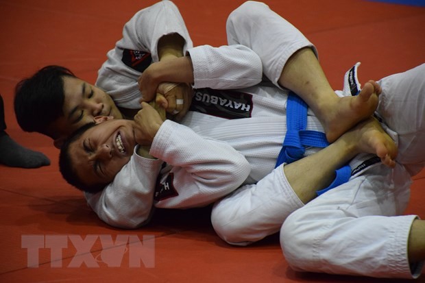 Việt Nam giành huy chương Vàng tại giải Ju-Jitsu Thái Lan mở rộng ảnh 2