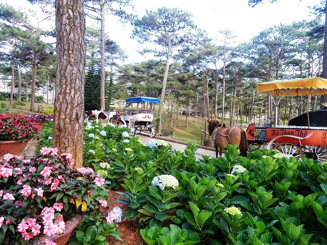 Sáu điểm du lịch không thể bỏ qua trong kì nghỉ lễ Giỗ tổ Hùng Vương ảnh 6