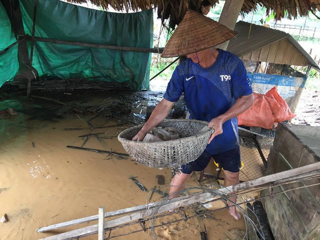 Hơn 300 trường ở Hà Tĩnh chưa thể khai giảng vì lũ ảnh 1