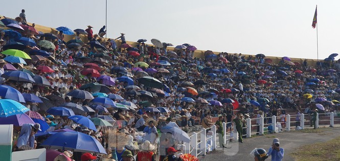 Vạn người chen lấn, xô đẩy xem chọi trâu Đồ Sơn ảnh 5