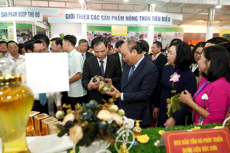 Thủ tướng dự Hội nghị tổng kết 10 năm xây dựng nông thôn mới tại Hà Nội ảnh 3