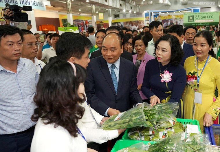 Thủ tướng dự Hội nghị tổng kết 10 năm xây dựng nông thôn mới tại Hà Nội ảnh 4