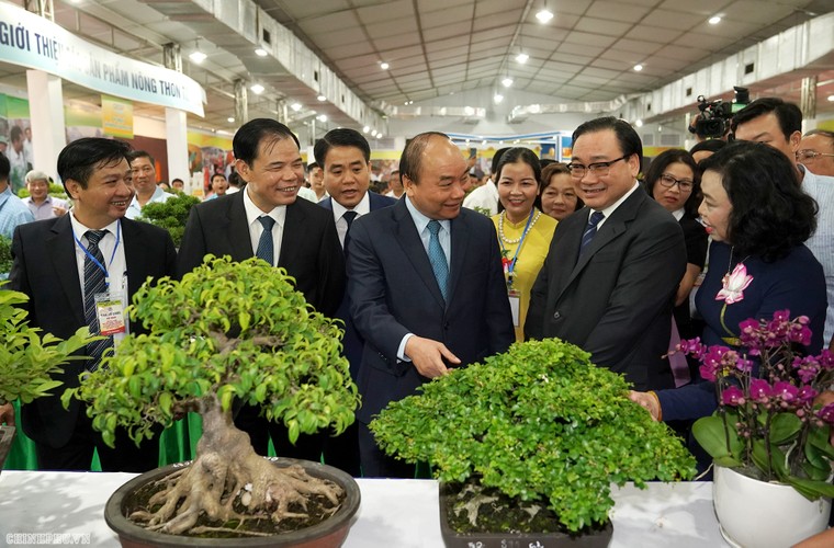 Thủ tướng dự Hội nghị tổng kết 10 năm xây dựng nông thôn mới tại Hà Nội ảnh 5