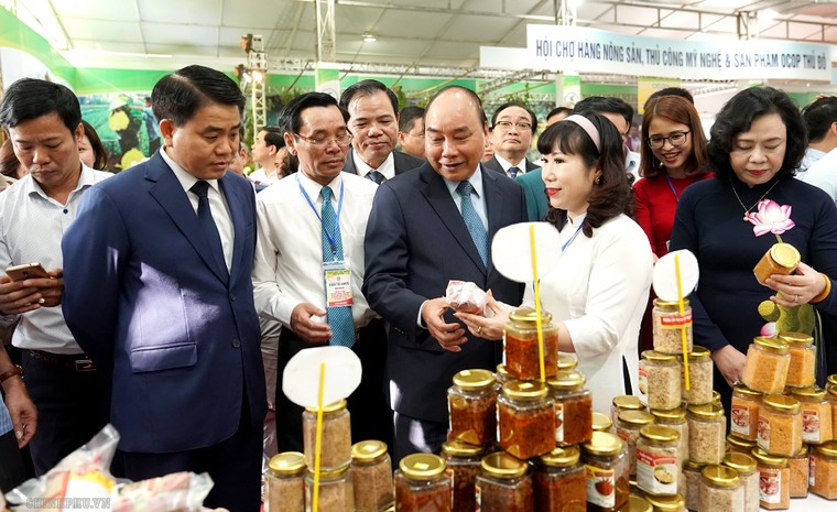 Thủ tướng dự Hội nghị tổng kết 10 năm xây dựng nông thôn mới tại Hà Nội ảnh 6