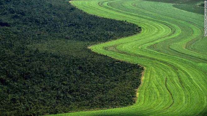 Lửa đang thiêu rụi rừng Amazon với tốc độ 110 sân bóng mỗi giờ ảnh 2