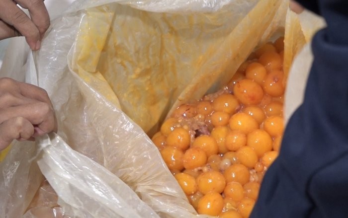 Hà Nội: Thu giữ hàng tấn trứng non, vịt thịt không đảm bảo chất lượng ảnh 1