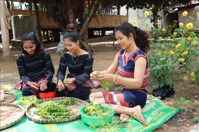 Người truyền cảm hứng cho đồng bào Bahnar làm du lịch ảnh 2