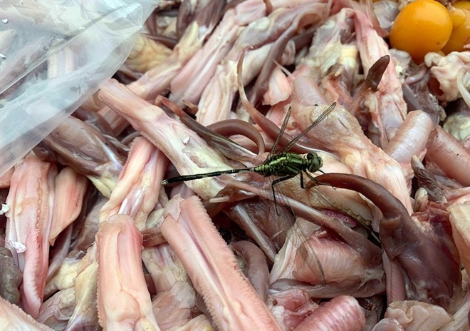 Hà Nội: chặn đứng 02 container chứa hàng tấn thực phẩm đông lạnh 'lậu' xâm nhập Thủ đô ảnh 5