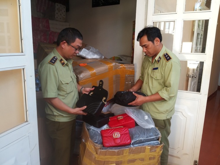 Gia Lai: Tạm giữ nhiều hàng hóa phục vụ tiêu dùng trong dịp lễ, Tết ảnh 1