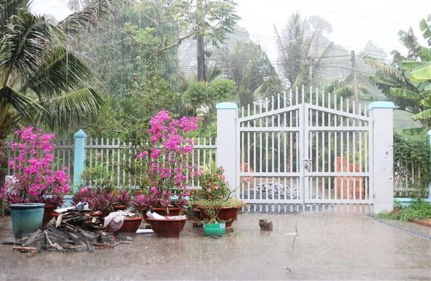 Mưa 'vàng' giải nhiệt cho ĐBSCL giữa cao điểm hạn mặn ảnh 1