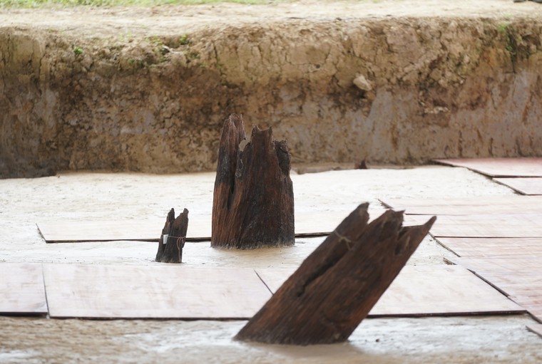 Khởi công Dự án bảo tồn bãi cọc Bạch Đằng ảnh 6