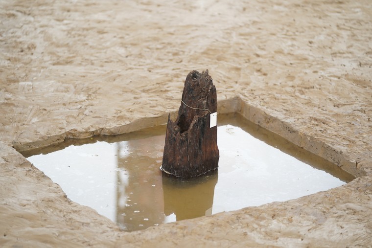 Khởi công Dự án bảo tồn bãi cọc Bạch Đằng ảnh 7