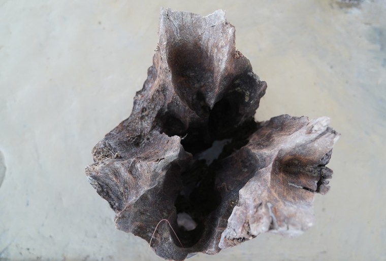 Khởi công Dự án bảo tồn bãi cọc Bạch Đằng ảnh 8