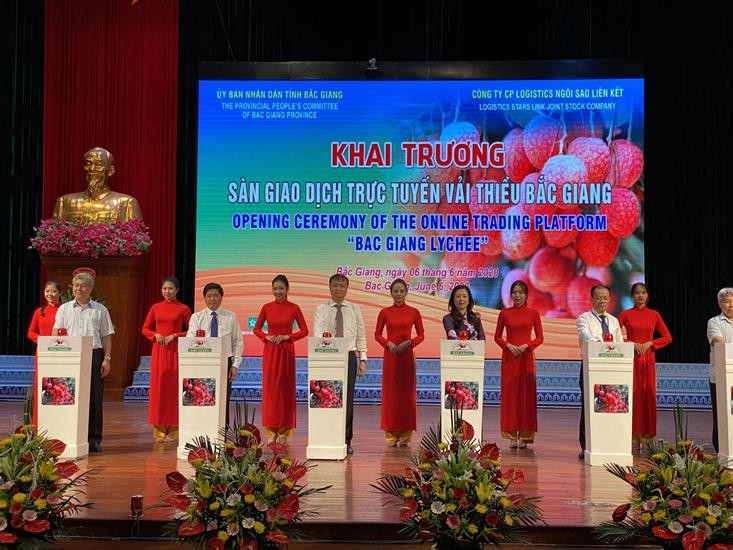 Thủ tướng cắt băng xuất hành đoàn xe vải thiều đi tiêu thụ ảnh 3