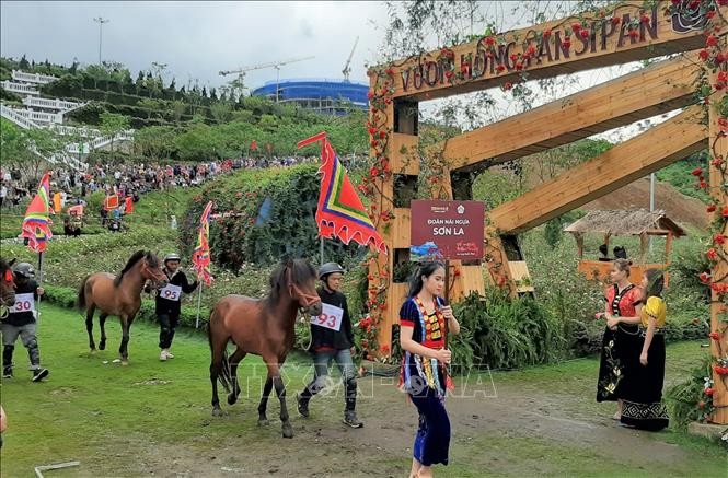 Giải đua 'Vó ngựa trên mây' hồi sinh vẻ đẹp Tây Bắc ảnh 1