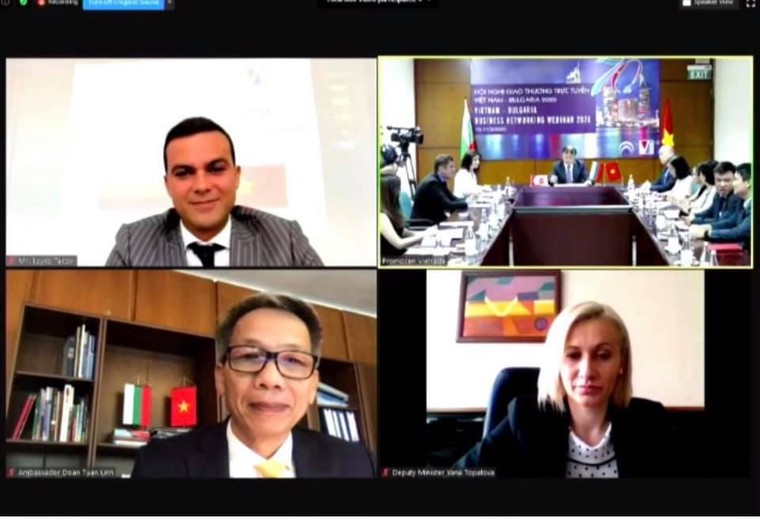 Tận dụng cơ hội thị trường Bulgaria từ EVFTA ảnh 2