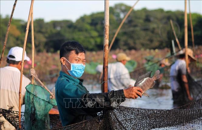 Hội 'phá trằm' ở Quảng Trị ảnh 5