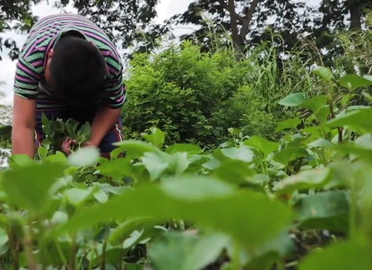 Tuổi thơ rơi lại trên đường mưu sinh! - Kỳ 1: Những đứa trẻ xóm Ốc ảnh 3