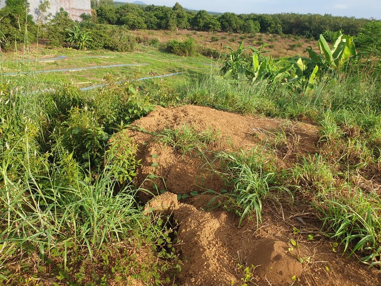 Đồng Nai: Người dân bỗng dưng sống bên bờ vực thẳm vì tình trạng ngang nhiên đào núi, lấp suối ảnh 1