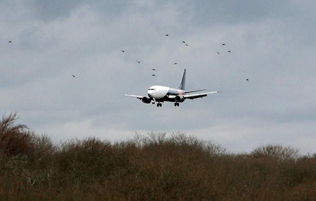 Boeing từng vượt qua 'bão tố' khi xảy ra 4 tai nạn liên quan đến một dòng máy bay ảnh 1