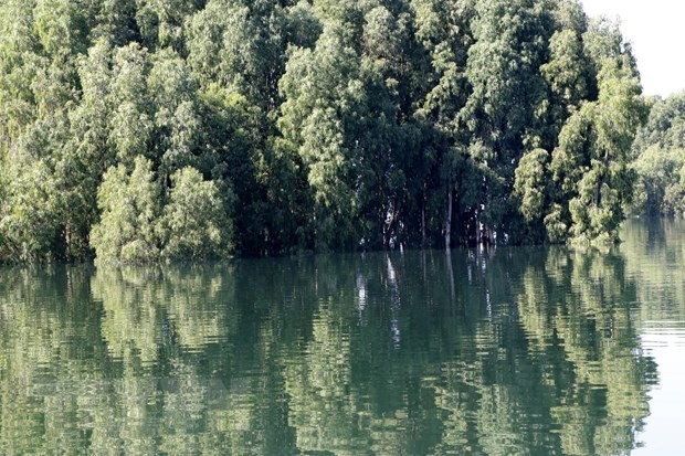 Phủ xanh vùng đất bán ngập để tạo cảnh quan du lịch hồ Thác Bà ảnh 1