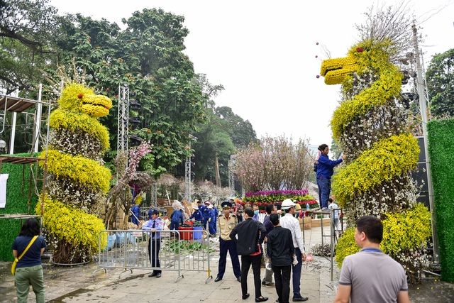 Thời tiết mát mẻ, hoa anh đào Nhật Bản khoe sắc rực rỡ trước ngày khai mạc Lễ hội ảnh 2