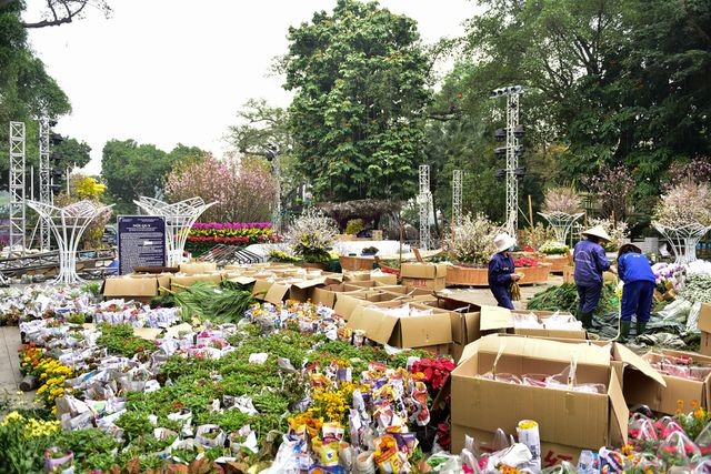 Thời tiết mát mẻ, hoa anh đào Nhật Bản khoe sắc rực rỡ trước ngày khai mạc Lễ hội ảnh 14