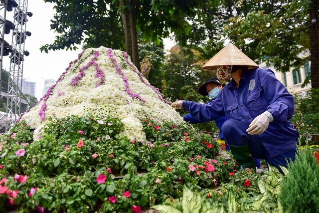 Thời tiết mát mẻ, hoa anh đào Nhật Bản khoe sắc rực rỡ trước ngày khai mạc Lễ hội ảnh 11