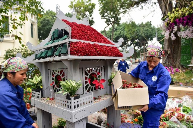 Thời tiết mát mẻ, hoa anh đào Nhật Bản khoe sắc rực rỡ trước ngày khai mạc Lễ hội ảnh 12