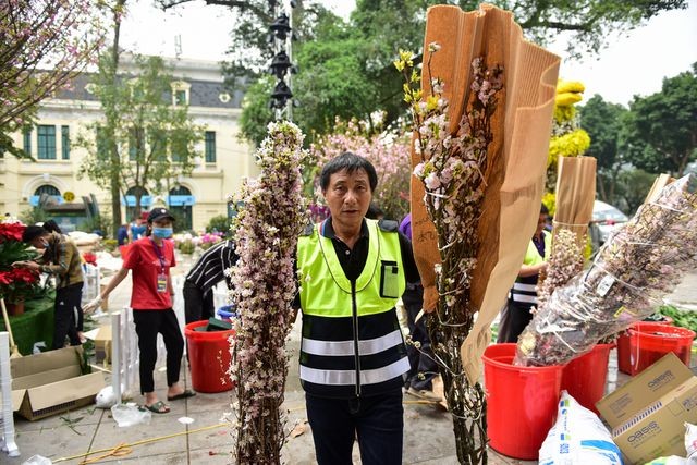 Thời tiết mát mẻ, hoa anh đào Nhật Bản khoe sắc rực rỡ trước ngày khai mạc Lễ hội ảnh 9