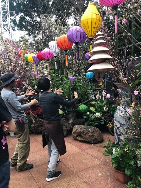 Lễ hội hoa anh đào Nhật Bản - Hà Nội 2019: Náo nức trước giờ khai mạc ảnh 8