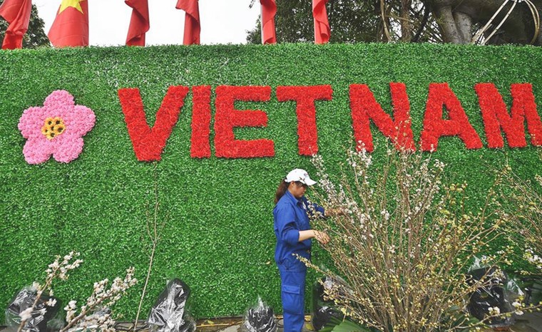 Ba vạn cành, cây hoa anh đào Nhật Bản khoe sắc trong đêm xuân Hà Nội ảnh 5