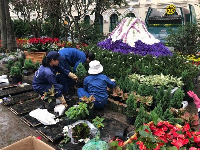 Lễ hội hoa anh đào Nhật Bản - Hà Nội 2019: Náo nức trước giờ khai mạc ảnh 1