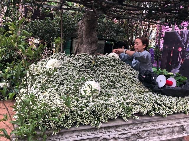 Lễ hội hoa anh đào Nhật Bản - Hà Nội 2019: Náo nức trước giờ khai mạc ảnh 10