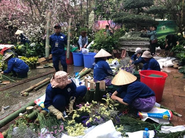 Lễ hội hoa anh đào Nhật Bản - Hà Nội 2019: Náo nức trước giờ khai mạc ảnh 5