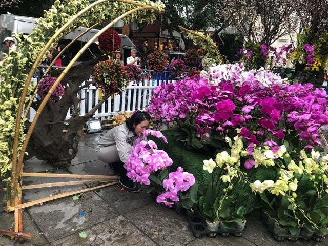 Lễ hội hoa anh đào Nhật Bản - Hà Nội 2019: Náo nức trước giờ khai mạc ảnh 6