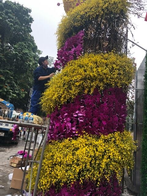 Lễ hội hoa anh đào Nhật Bản - Hà Nội 2019: Náo nức trước giờ khai mạc ảnh 7