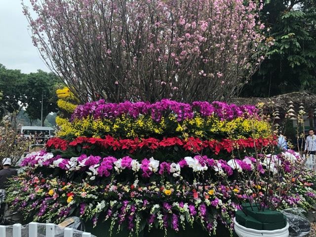 Lễ hội hoa anh đào Nhật Bản - Hà Nội 2019: Náo nức trước giờ khai mạc ảnh 20