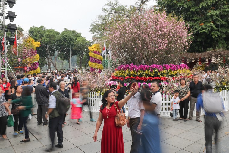 Người dân nô nức thưởng lãm hoa anh đào Nhật Bản nở rộ bên hồ Hoàn Kiếm ảnh 9