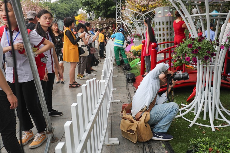 Người dân nô nức thưởng lãm hoa anh đào Nhật Bản nở rộ bên hồ Hoàn Kiếm ảnh 10